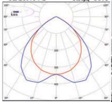  ������ ���� �����